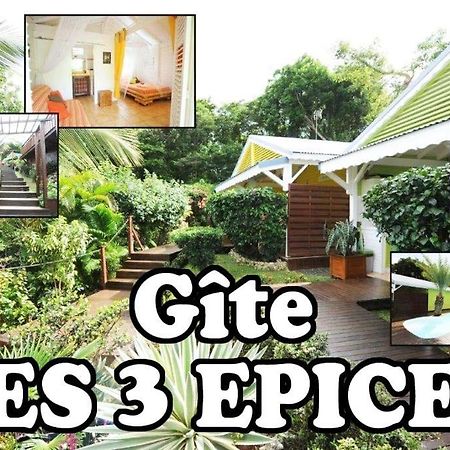Appartement Les 3 Epices à Le Gosier  Extérieur photo